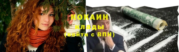 спайс Гусь-Хрустальный