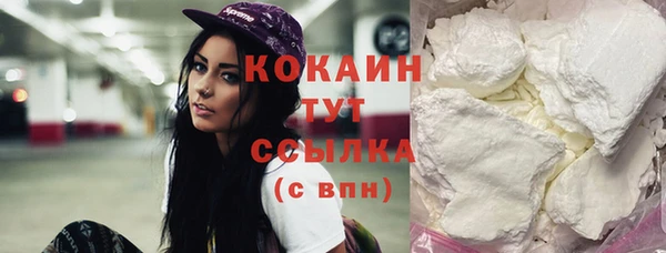 шишки Горно-Алтайск