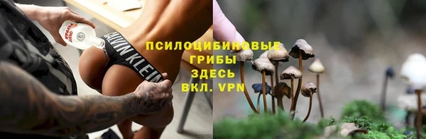 спайс Гусь-Хрустальный