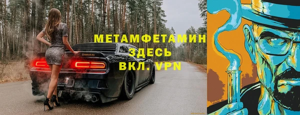 шишки Горно-Алтайск