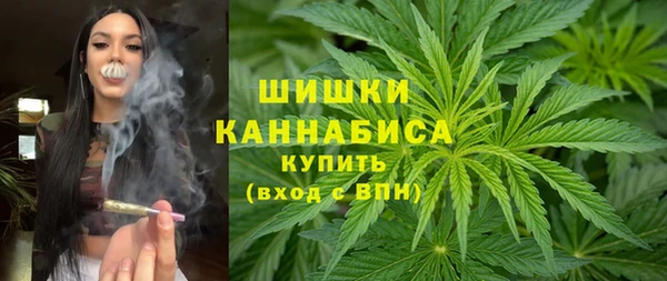 гашик Горнозаводск