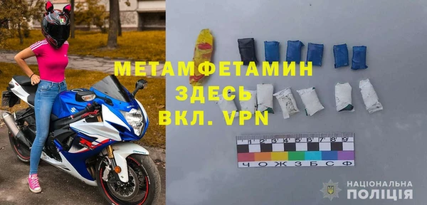 шишки Горно-Алтайск