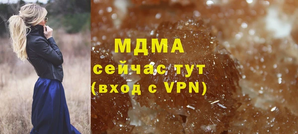 спайс Гусь-Хрустальный