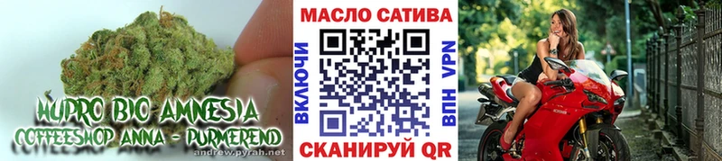 KRAKEN зеркало  Новозыбков  ТГК вейп с тгк  купить закладку 